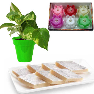 "Gift Hamper - code SH14 - Click here to View more details about this Product